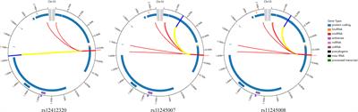 Association study between C10orf90 gene polymorphisms and colorectal cancer